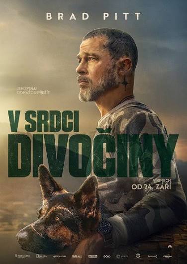 Plakát k filmu